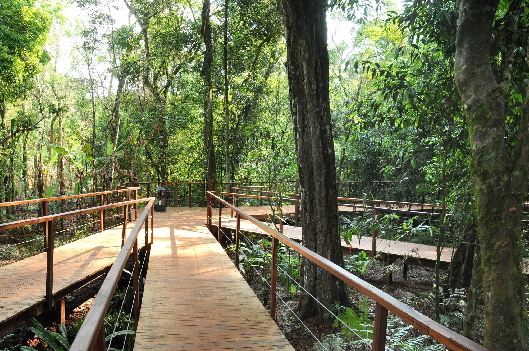La Reserva Virgin Lodge Puerto Iguazú Buitenkant foto